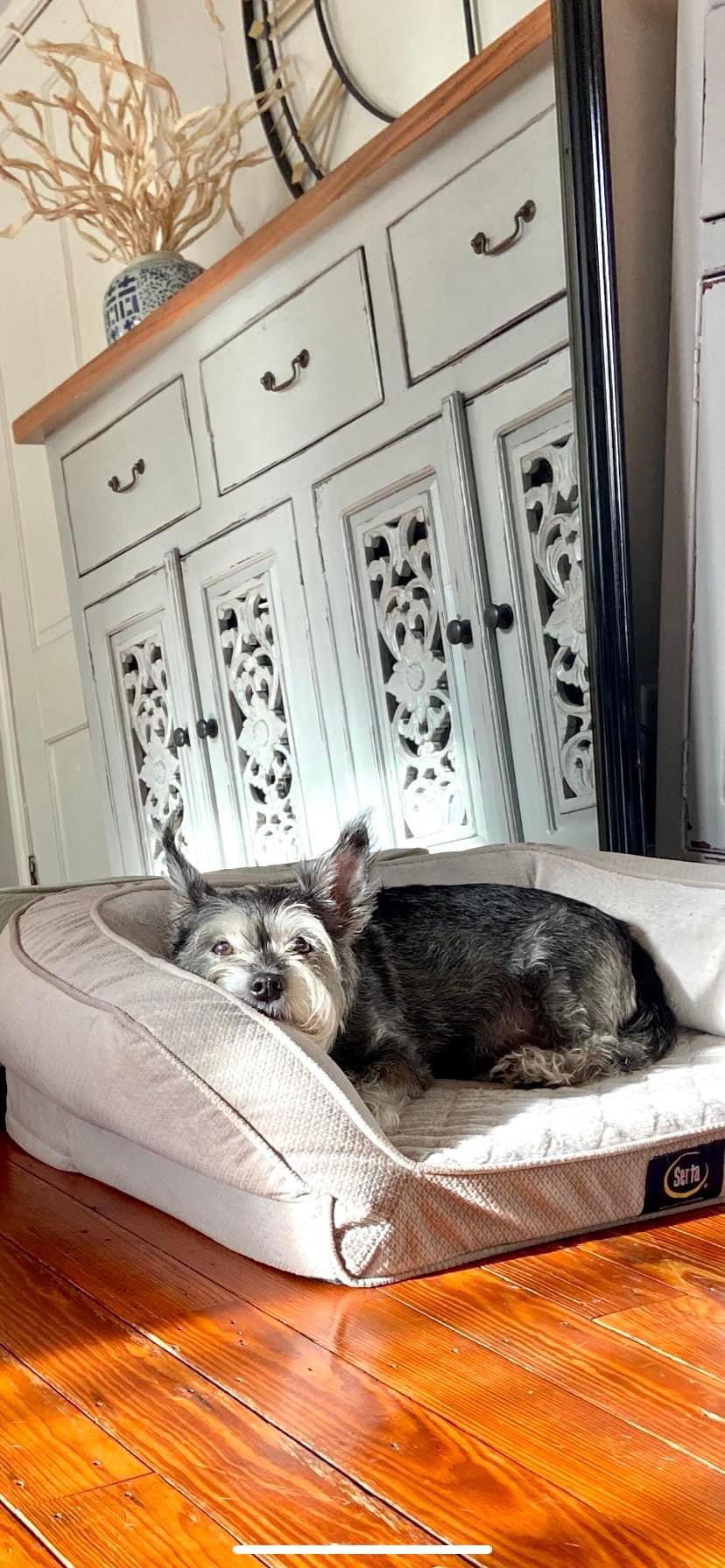 My Best Girl: Bernie’s Story