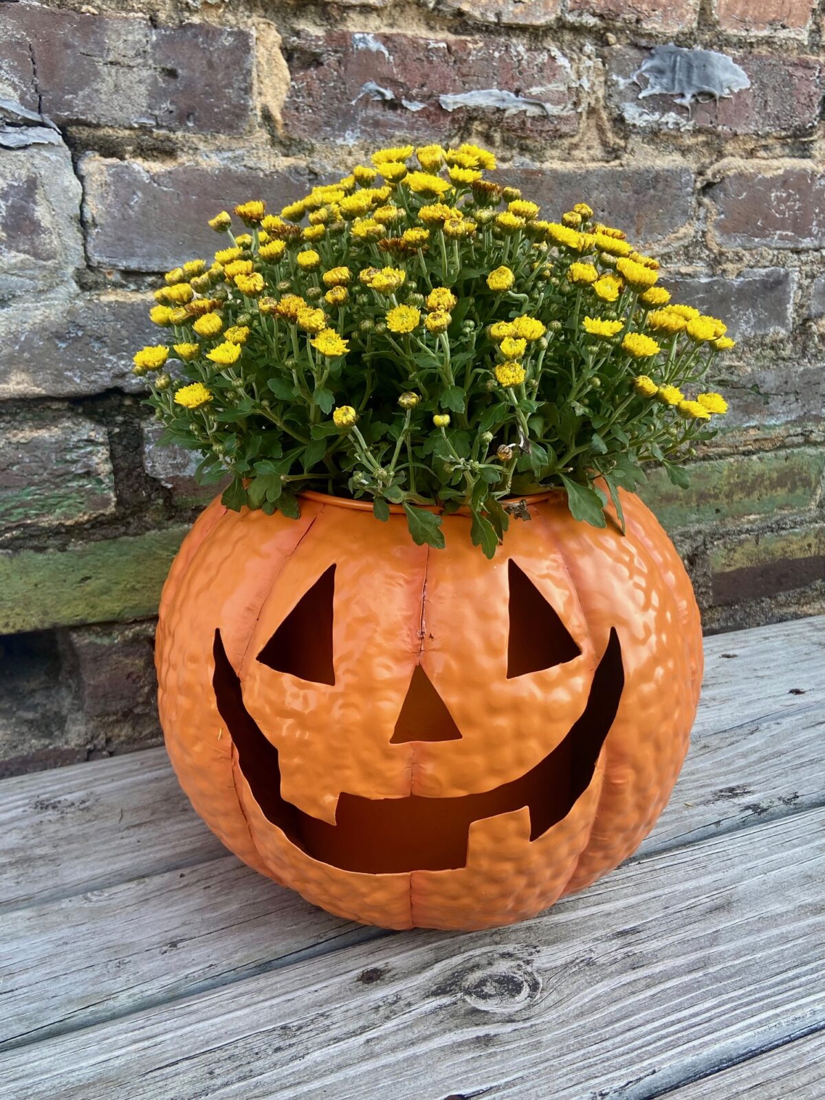 Romanticizing the Fall Season